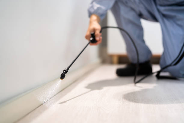 Certified termite inspector examining foundation in Brewton