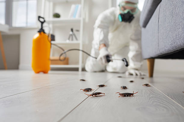 Commercial Rodent Management in Brewton